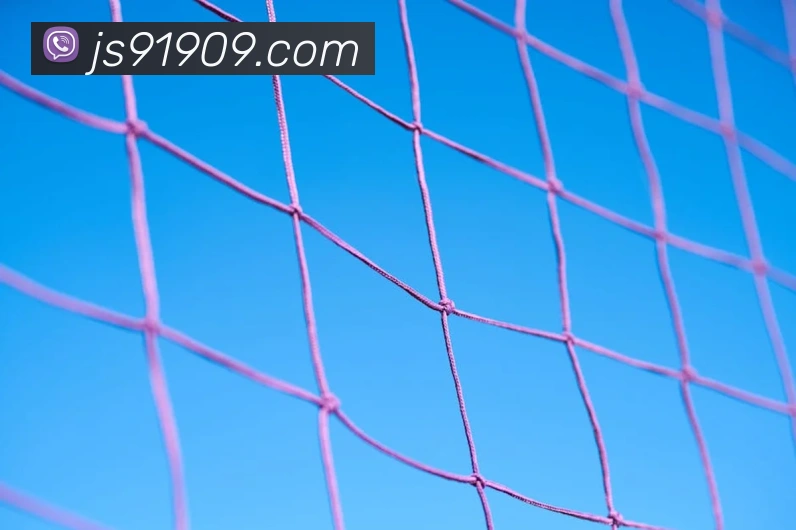 金沙娱乐官网平台生态图