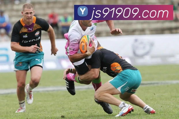 金沙娱乐官网APP 封面图